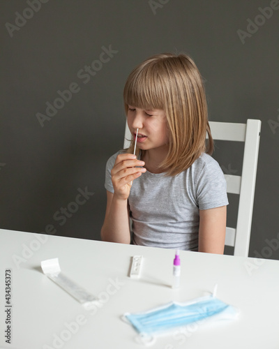 A little blond girl using covid-19 swab test. Schoolgirl sitting, self test for COVID-19 at home with Antigen test kit. Coronavirus nasal swab test for infection. 