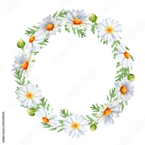 Daisy wreath. Watercolor round floral frame. Camomile flowers. Illustration isolated on white