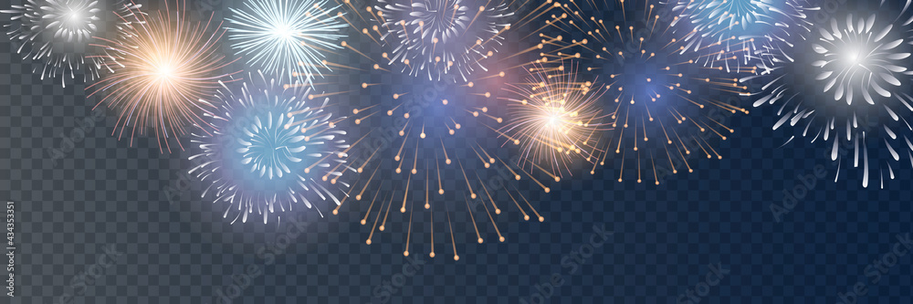 Vector Brightly Colorful Fireworks on the background of the night sky.