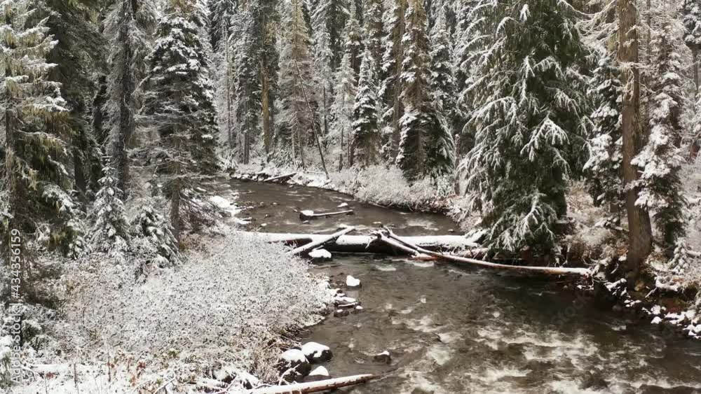 4k Winter River and Evergreen Forest Aerial Drone View 4k Winter River and Evergreen Forest Aerial Drone View
