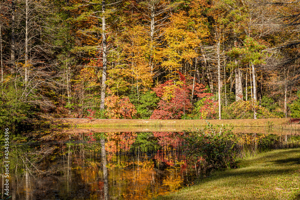 Brilliant fall colors reflect in smooth pond in the forest Brilliant fall colors reflect in smooth pond in the forest