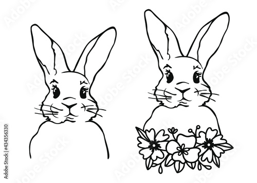 Hand Drawn Cute Bunny, rabbit print design, kids print on t-shirt.