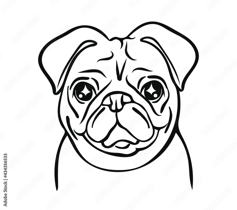 Vector of pug dog face on white background, Pet. Animals. Vector illustration.