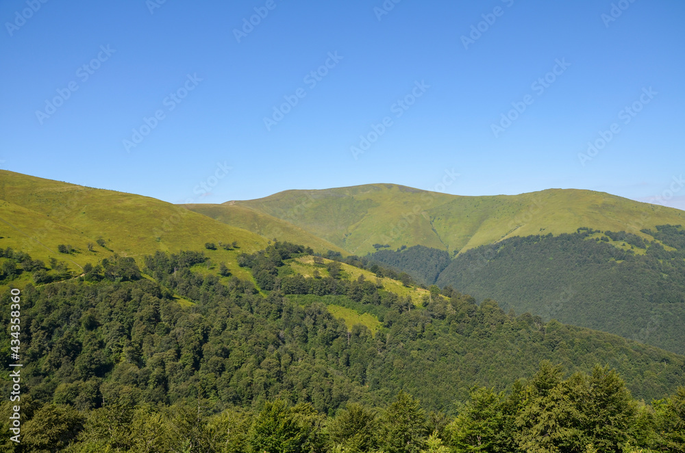 Beautiful green hills on sunny summer day. Landscape of Borzhava ridge of the Ukrainian Carpathian Mountains. Tourism in Ukraine