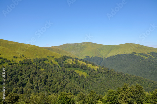 Beautiful green hills on sunny summer day. Landscape of Borzhava ridge of the Ukrainian Carpathian Mountains. Tourism in Ukraine