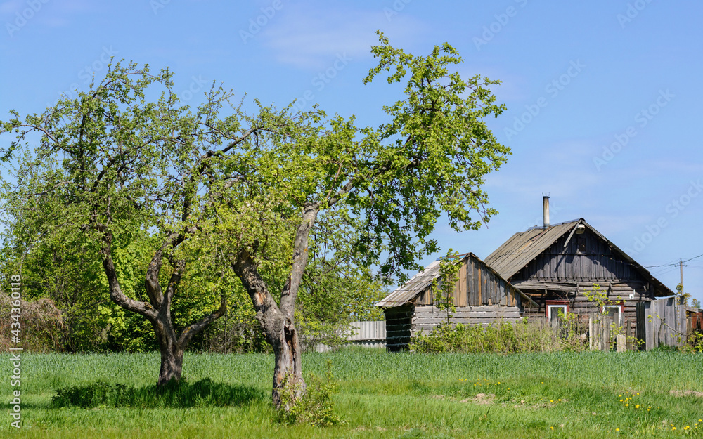 The nature of Belarus. Belarusian village. The nature of Belarus. Belarusian village.