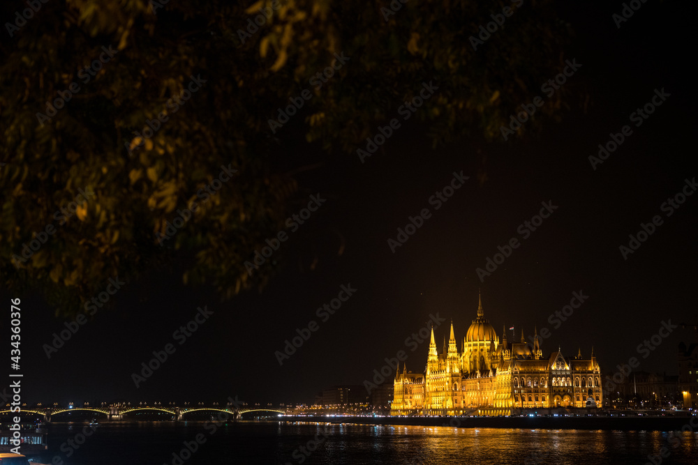 Obraz premium Night view of the Parliament House in Budapest