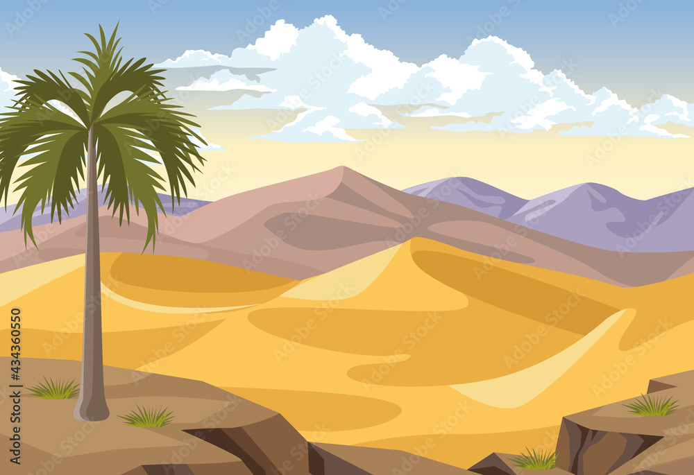 desert with palm