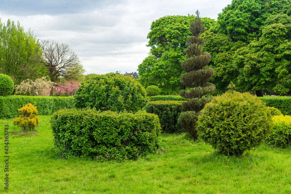 Topiary art in park design. Trimmed trees and shrubs in a summer city park. Evergreen landscape park Topiary art in park design. Trimmed trees and shrubs in a summer city park. Evergreen landscape park
