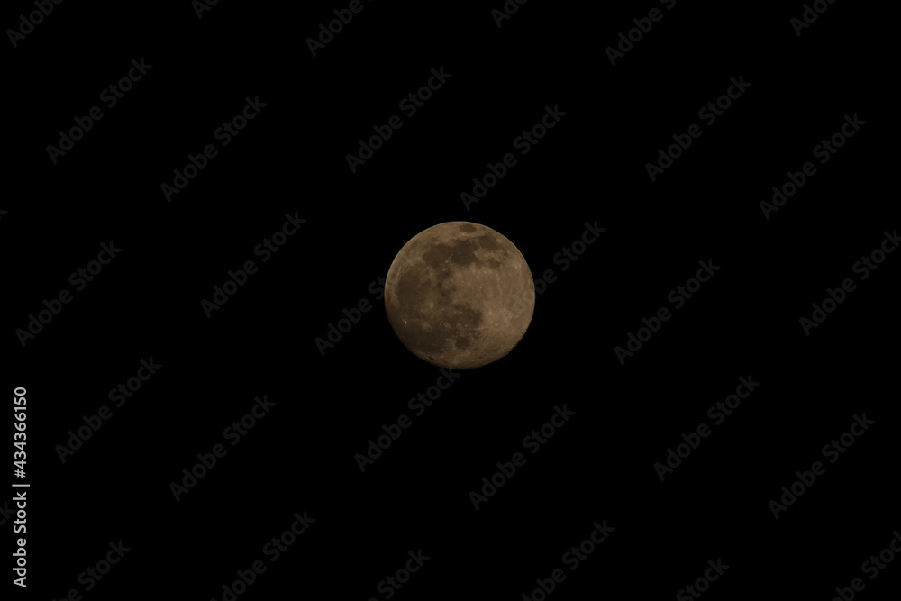 Fototapeta premium full moon in the night