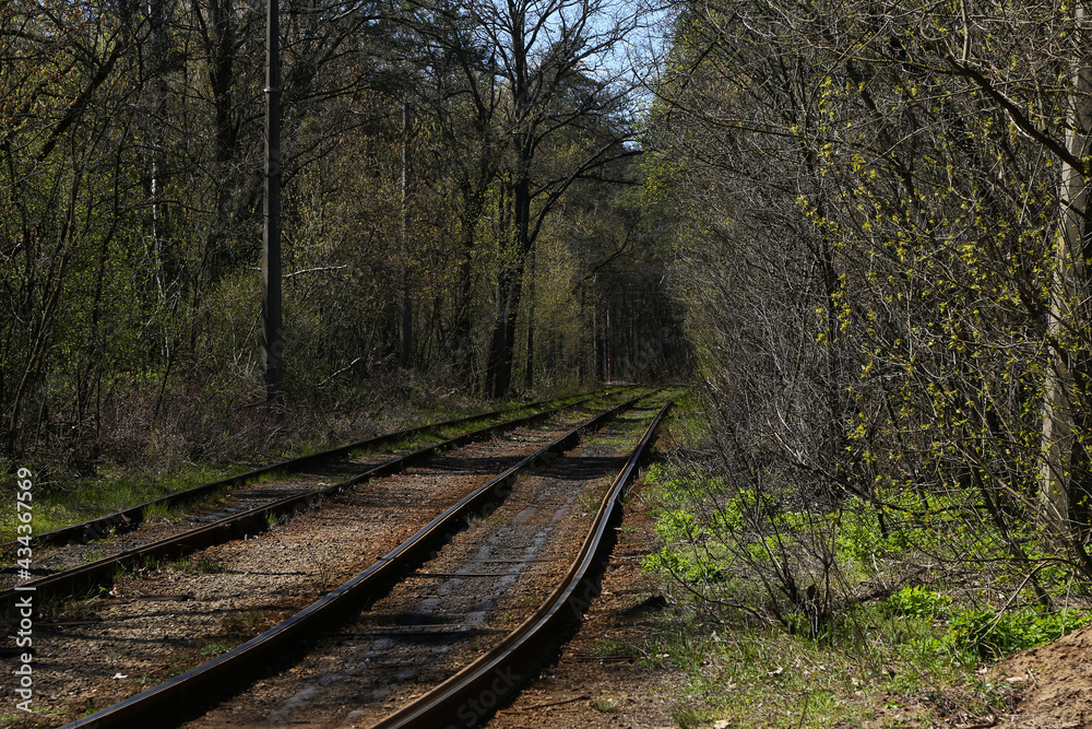 rounding of the railway in the forest