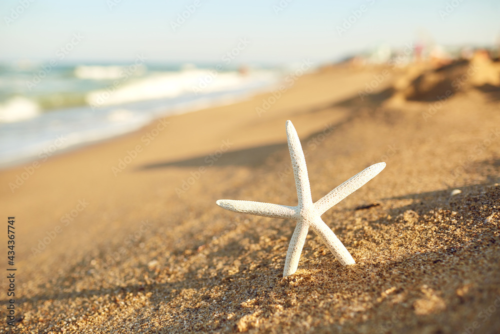 Close-up of white starfish on sandy beach with blue sea water waves at background on summer clear sunny day, selective focus. Close-up of white starfish on sandy beach with blue sea water waves at background on summer clear sunny day, selective focus.