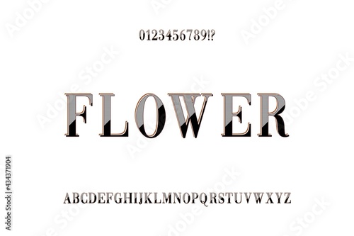 classic lettering, alphabet font, gray and white style background, typeface vector design