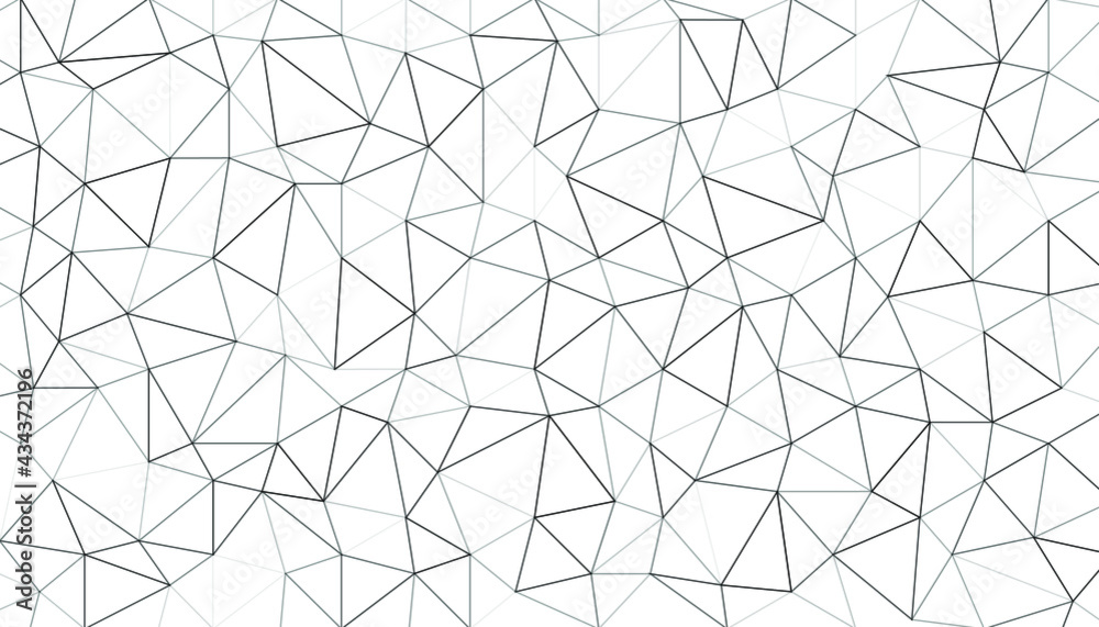 Vector Abstract Polygonal Geometric Triangle Background. Black and white geometric pattern. Abstract decorative backdrop can be used for wallpaper, pattern fills, web page background. Triangle surface Vector Abstract Polygonal Geometric Triangle Background. Black and white geometric pattern. Abstract decorative backdrop can be used for wallpaper, pattern fills, web page background. Triangle surface