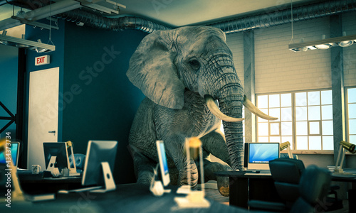 elephant sitting inside an office. concept of unsolved problems. photo