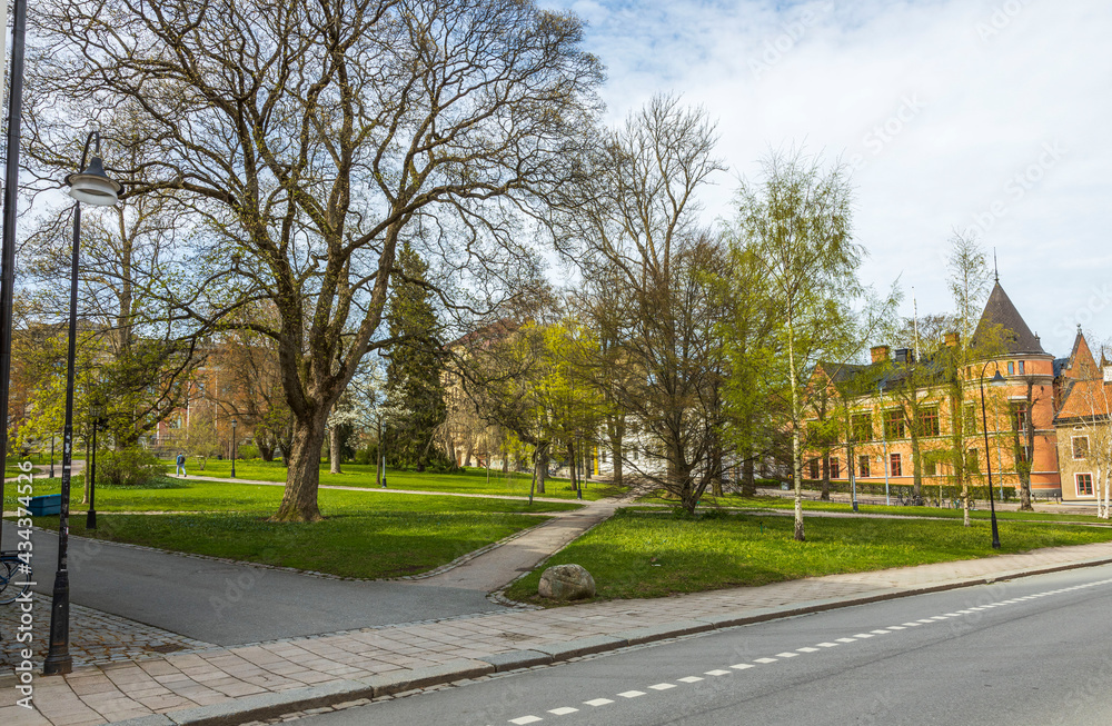 Beautiful city park landscape view on spring day. Old green trees and old buildings between them. Sweden. Beautiful city park landscape view on spring day. Old green trees and old buildings between them. Sweden.