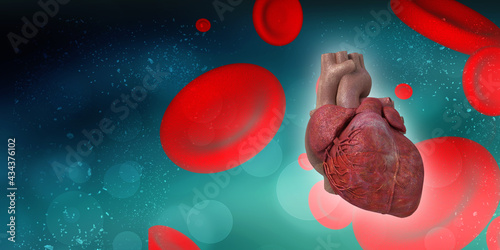 Slika na platnu 3d illustration  Anatomy of Human Heart