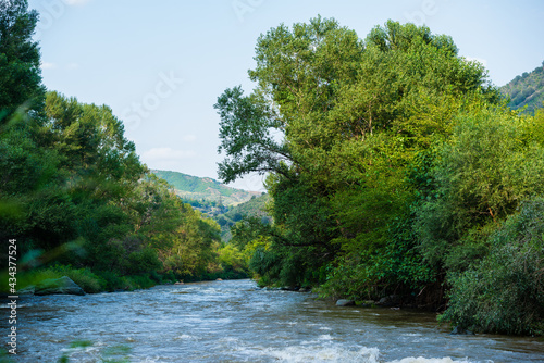 Beautiful landscape with Debed river  Armenia