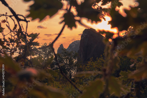 A view of a rock trought leaves of trees against the sunset sky