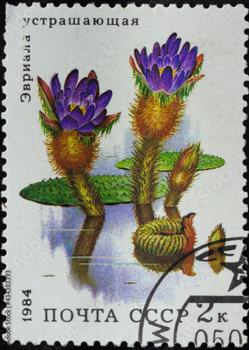 Postage stamp 'Prickly Water Lily or Euryale ferox'. Series: 'Aquatic plants' by artist I. Sushchenko, 1984