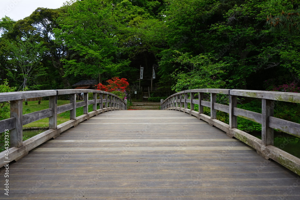Wooden bridge in traditional Japanese garden from low angle - 日本庭園 木造の橋