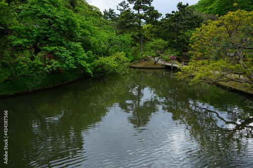 Pond and pine tree at Japanese garden - 日本庭園 池 松の木 