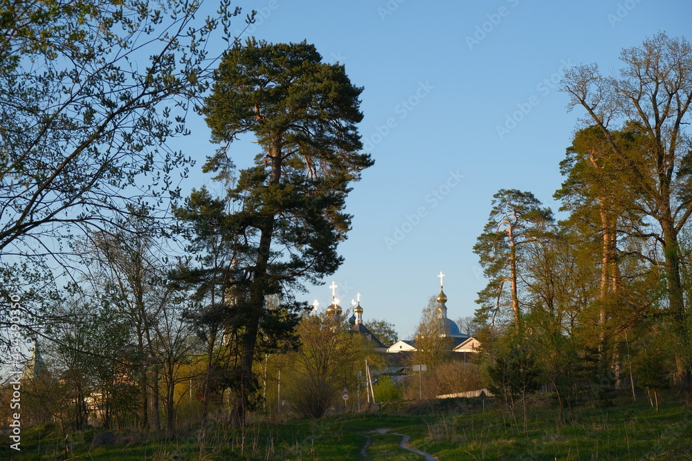 Obraz premium Forest in Russia