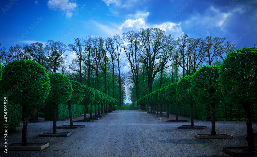 Beautiful alley of trees in the Rundale royal garden during springtime