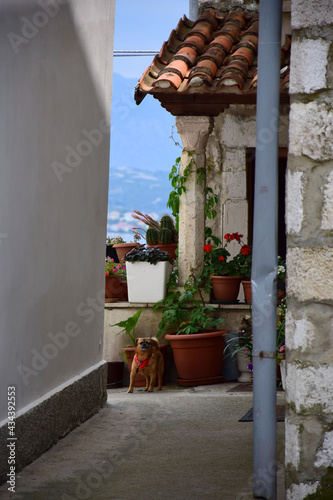 Narrow streets of croatian old town