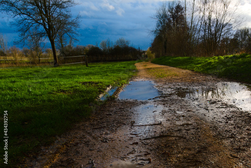 Chemin de terre après la pluie