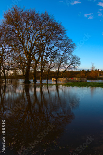 Près inondée devant la Sarthe à Malicorne sur Sarthe