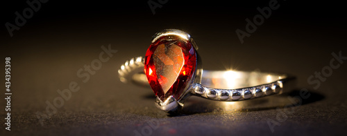 Tableau sur toile Silver Ring 05