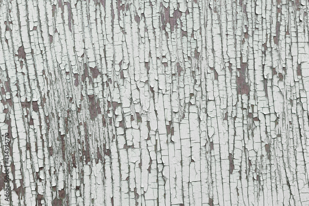 Macro photography of cracked surface of light grey color wooden painted wall. Macro photography of cracked surface of light grey color wooden painted wall.