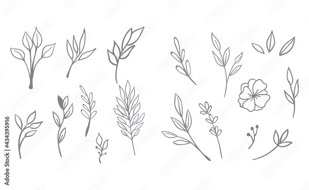 Plakat Floral and herbal ornament hand drawn designs. Leaves and branches nature doodles.