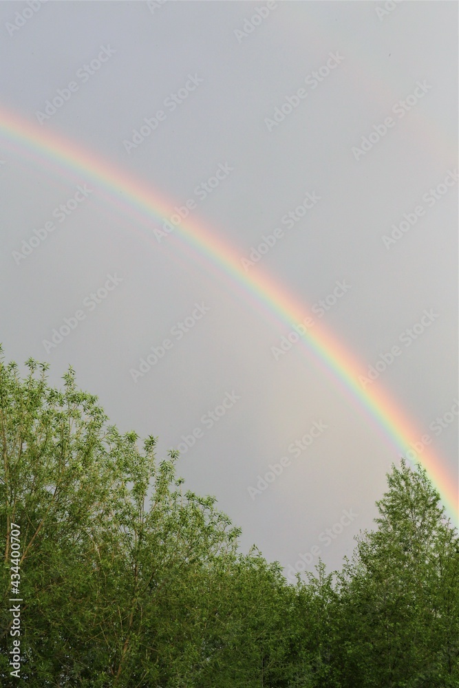 Naklejka premium rainbow in the sky