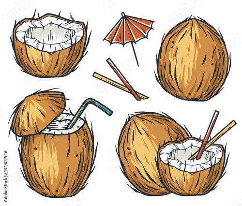 Coconut exotic cocktail. Tropical beach summer fruit coco. Hawaii nature drink bar