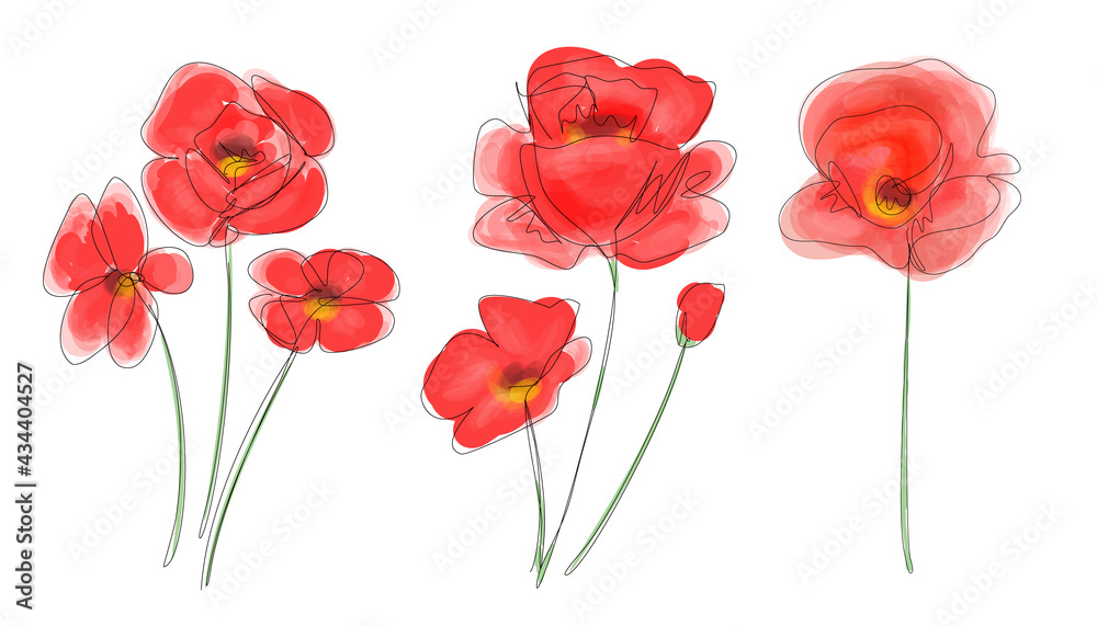 Fototapeta premium Poppies flowers in digital watercolour and continuous line drawing. Red poppy collection. Outline simple artwork with editable stroke. Vector illustration.