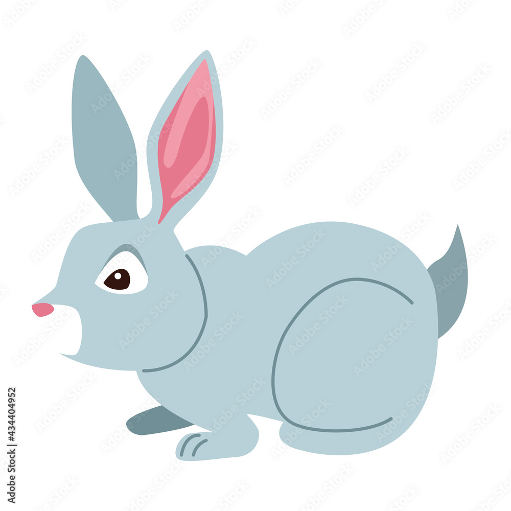 cute gray rabbit cute gray rabbit