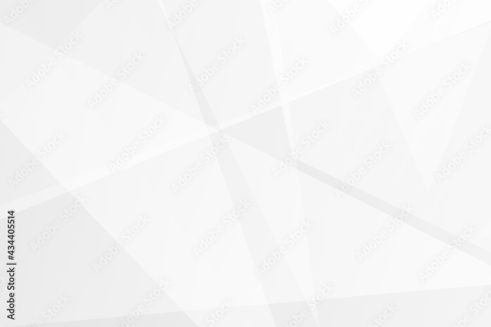 Obraz premium Abstract white and grey on light silver background modern design. Vector illustration EPS 10.