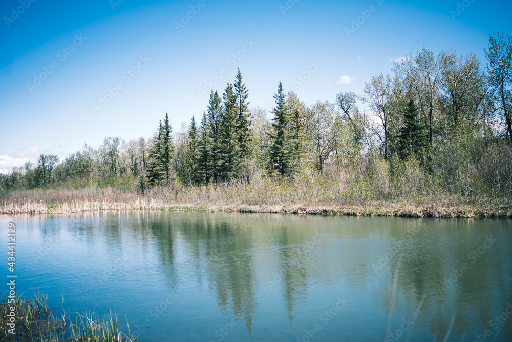Wetlands in Alberta Canada 