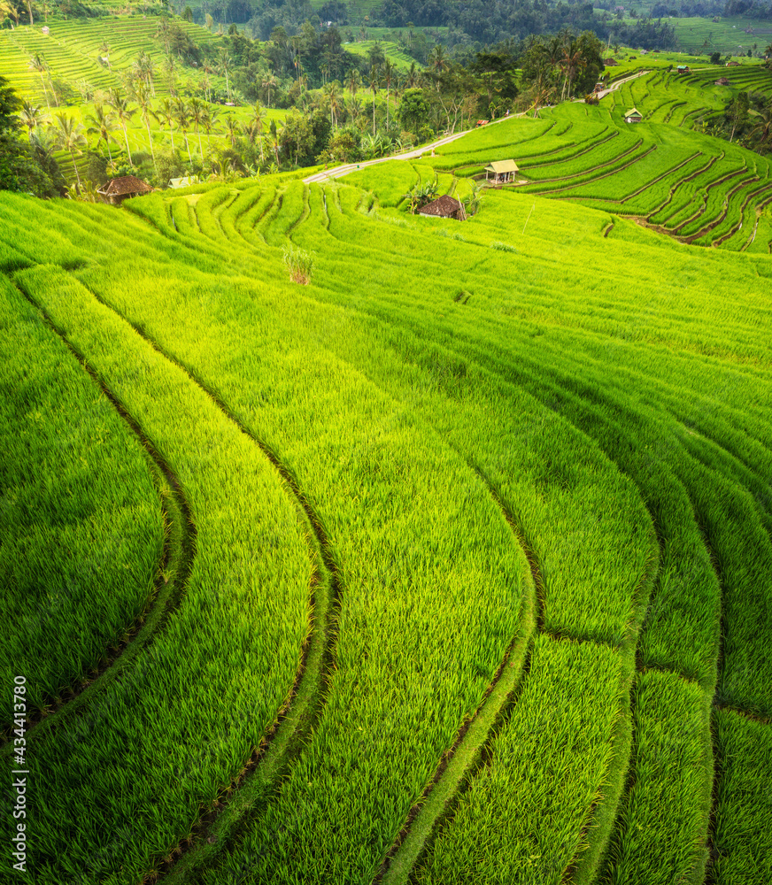 Aerial view of rice terraces. Landscape with drone. Agricultural landscape from the air. Rice terraces in the summer. Travel and vacation image. Aerial view of rice terraces. Landscape with drone. Agricultural landscape from the air. Rice terraces in the summer. Travel and vacation image.