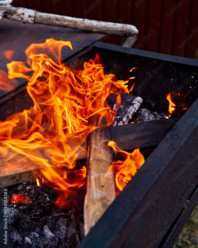 Obraz premium fire in the fireplace
