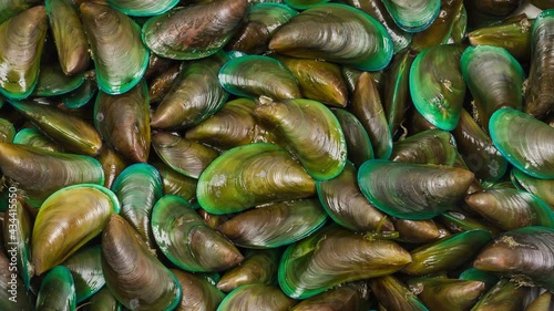 Close up rotation of many colored green Mussel in the market. photo