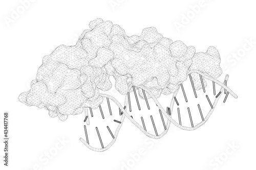 3D rendering as a line drawing of a molecule. Cryptic glucocorticoid receptor-binding sites pervade genomic NF-kappa B response elements. photo