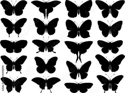 Black butterfly silhouettes. Outline butterflies romantic tattoo, tropical insects stencil. Summer and spring exotic symbols isolated vector set. Elegant wild flying moth of various shapes photo