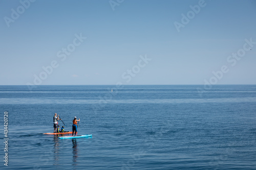 Family of four on stand up paddle boards on open water.