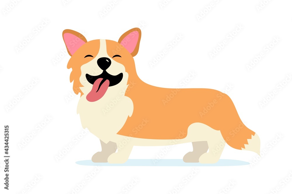Fototapeta premium Happy dog smile Cute smiling welsh corgi Dog smile face with paw and heart shaped nose Corgi stands sticking out his tongue