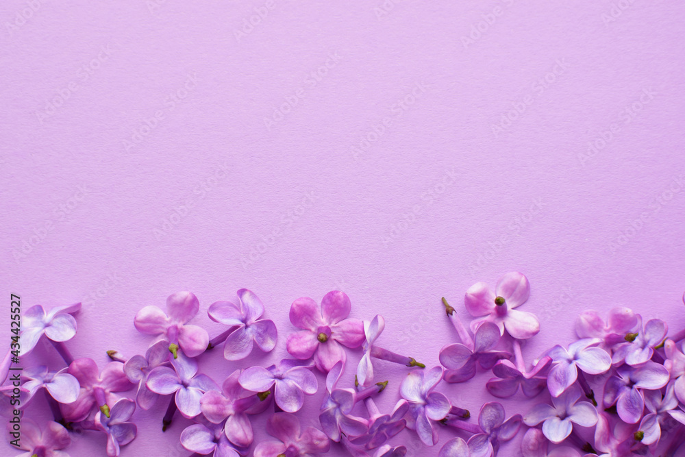 Lilac flowers lie on a lilac background. Place for text StockFoto