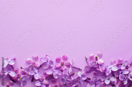 Lilac flowers lie on a lilac background. Place for text photo