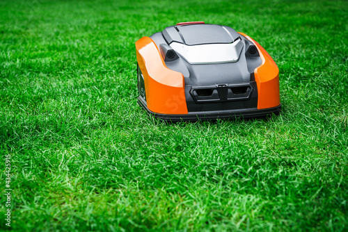 Lawn robot mows the lawn. Robotic Lawn Mower cutting grass in the garden.